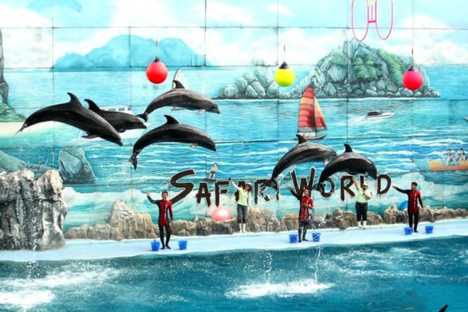 BANGKOK: Join Tour: Full Day Tour Safari World - Marine Park - Buffet Lunch with Private Transfer 5