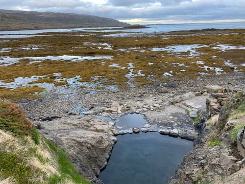 Isafjordur and Westfjords Private Tour, photo 2