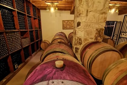 From Ayia Napa & Protaras: Troodos Grape Escape – Mountain Villages & Wineries Tour (6-7hrs)