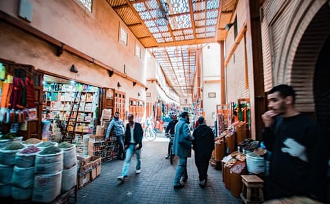 Marrakech Private Photography Tour of Cultural Highlights