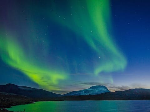Northern Lights Yacht Cruise in Reykjavik, photo 2