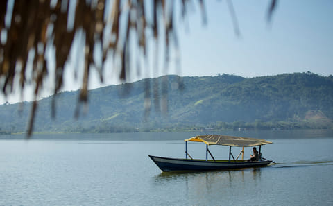 Scenic Boat Tour and Wildlife Viewing on Laguna Azul, Tarapoto