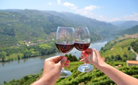 Private Douro Valley Wine and History Tour from Porto