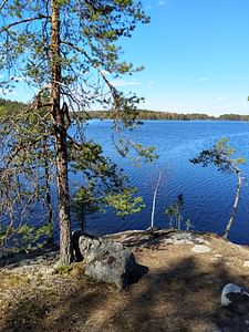 Nature safari Finland Oy Kohtaa villi luonto Etelä-Konneveden kansallispuistossa Jyväskylä