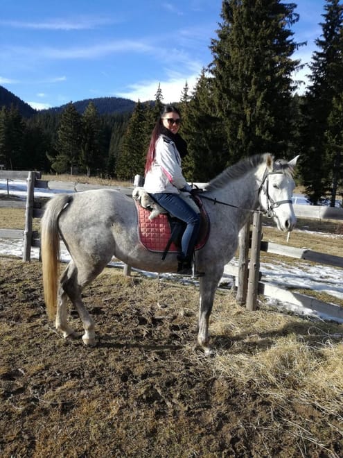 Horse Riding Lessons at the Heart of the Rose Valley photo 3