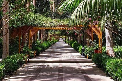 Aswan Botanical Garden Tour and Felucca Sailing Experience