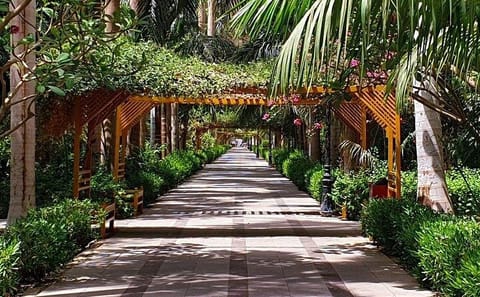 Aswan Botanical Garden and Felucca Sailing Tour