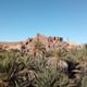 Ourzazate - Kasbah