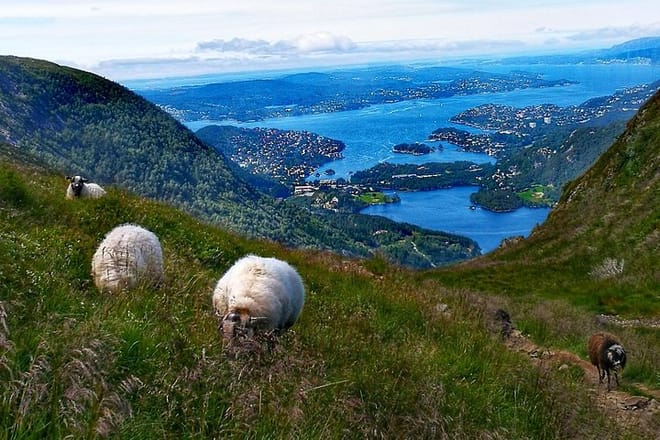 Norway Mountain Guides