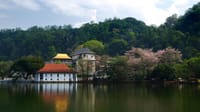 01 Week Tour In Sri Lanka 3