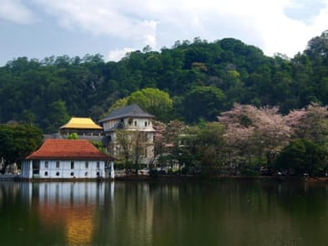 Seven-Day Adventure Tour in Colombo, Sri Lanka