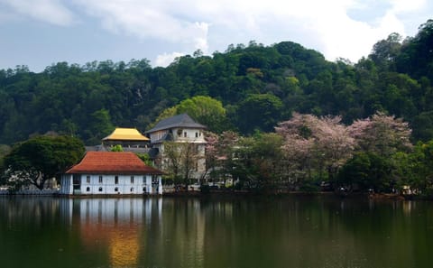 Seven-Day Adventure Tour in Colombo, Sri Lanka