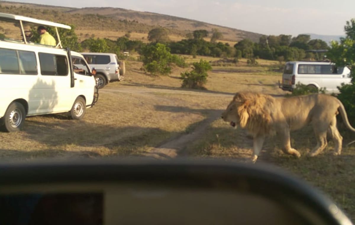 3-Day Maasai Mara Camping Safari