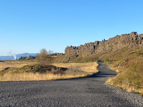 Private Thingvellir National Park Half Day Tour , photo 4
