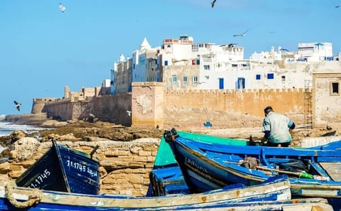 From Marrakech To Essaouira Mogador Full Day Trip | Small-group