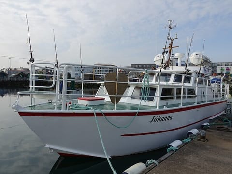 Reykjavik's Finest Catch: Guided Sea Angling Tour for All Levels, photo 4