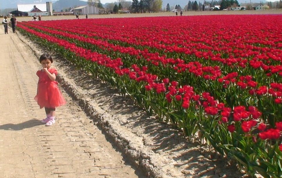 TULIP Festival @ Skagit Valley, La Conner & Deception Pass in SUV