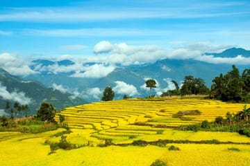 Two-Day Hard Trekking and Homestay Tour in Sapa, Vietnam