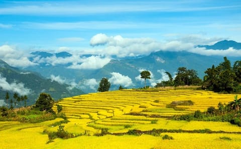 Two-Day Hard Trekking and Homestay Tour in Sapa, Vietnam