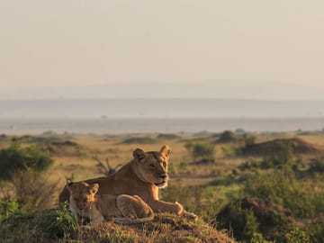 14 days Tanzania & Zanzibar Honeymoon Safari