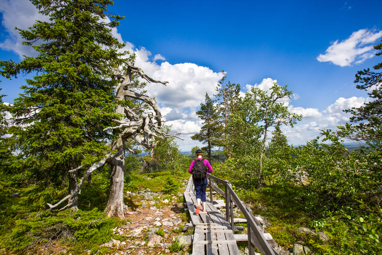 Trip to Pyhä-Luosto National Park and Amethyst Mine - Rovaniemi 9