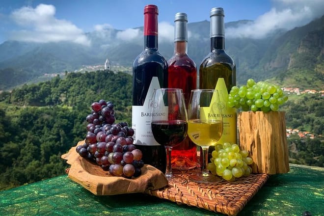 Madeira Wine Tastings , Vineyards and Skywalk, Full day tour in 4x4 Open Roof  4