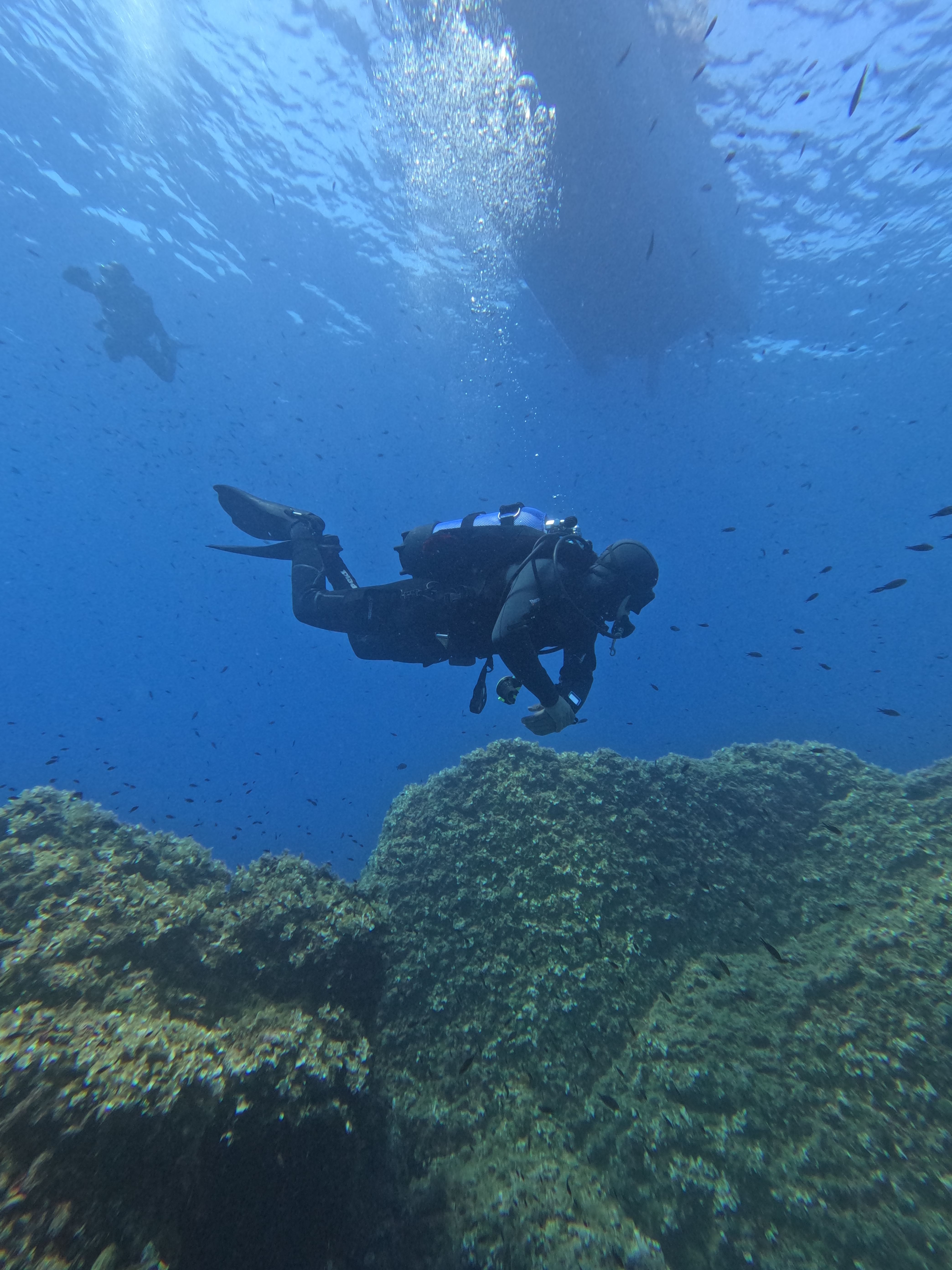 Diver in neutral buoyancy during safety stop.