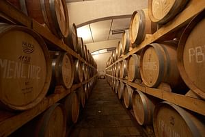 Private Make Your Own Wine Experience in Edoardo Miroglio Winery