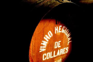 Private Sintra and Wine Full Day Tour From Lisbon