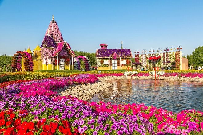 Miracle Garden Dubai Tickets with Transfers Option