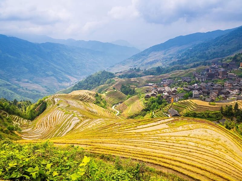Longji Rice Terraces and Minority Village Day Tour
