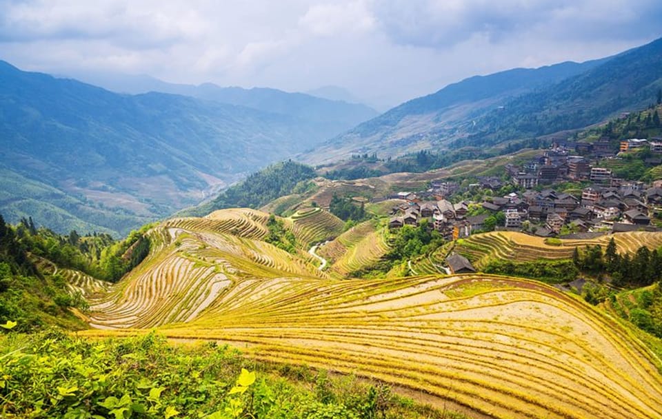 Longji Rice Terraces and Minority Village Cultural Tour