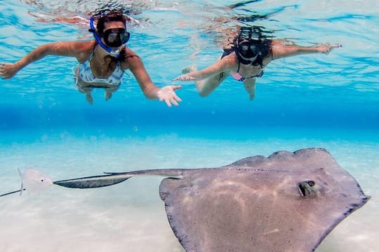 Grand Cayman 3-Stop Adventure: Stingray City & Reef Snorkeling