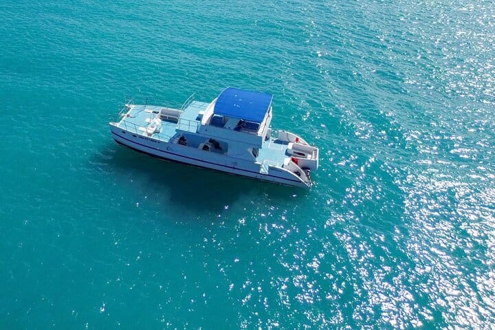 5 tours in 1 (Eco Farm/Horseback/City Tour/Buggy/Zipline)