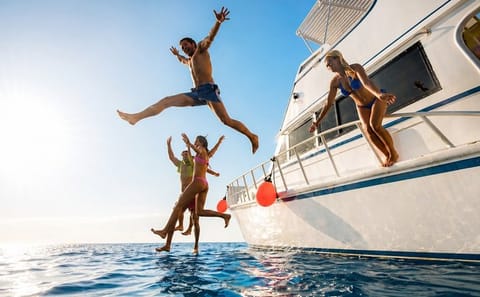 Snorkeling Trip to White Island and Ras Mohammed in Sharm El Sheikh