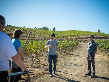 7-Day Culinary and Wine Tour in Casablanca and Mendoza