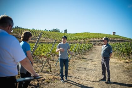 7-Days Unique Experience visiting the best Chilean & Argentinean Wine Valleys!