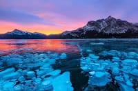 Ice Bubbles at Abraham Lake/Sunwapta Falls 1