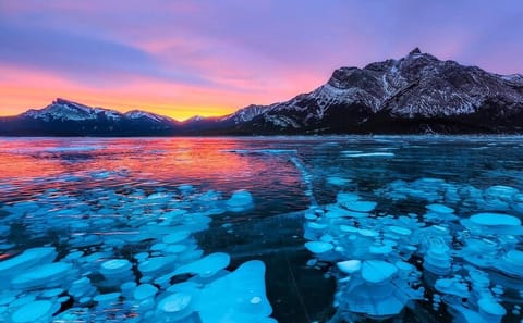 Winter Tour to Peyto Lake Ice Bubbles in Banff, Canada