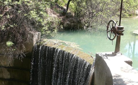 Explore Natural Beauty and History on Rhodes Green Tour