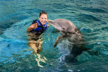 Tulum Archaeological Tour and Dolphin Adventure Experience