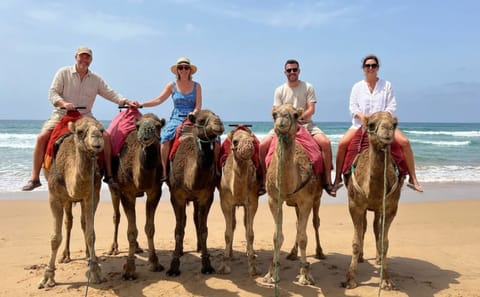 Day Trip Tangier – Private Guide & Driver