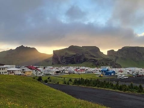 Vestmannaeyjar Westman Islands Private Tour, photo 3