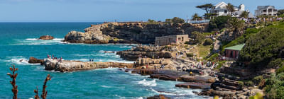 Hermanus tour. From Cape Town. Guided