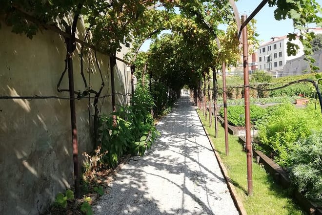 Venice Hidden Gardens: Secret Walking Tour  6