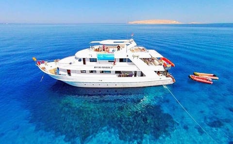 Snorkeling Adventure at Ras Mohamed National Park from Sharm El Sheikh