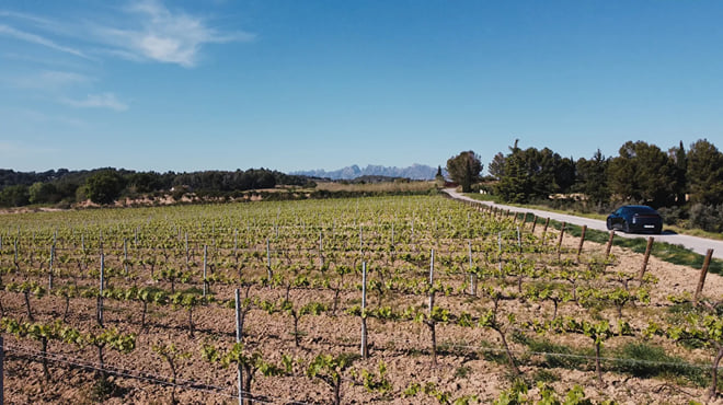 Montserrat Day Tour and Wine Tasting From Barcelona. Enjoy a Catalan Brunch with Pairing Cava. Includes Hotel Pick Up and Drop Off. - Photo 14