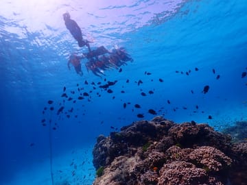 Phuket: Similan Island Snorkeling Adventure full day tour by Sea Star Andaman