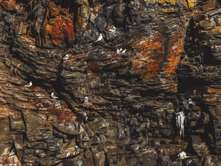 Snæfellsnes Peninsula in a small group tour with home-cooked meal included, photo 11