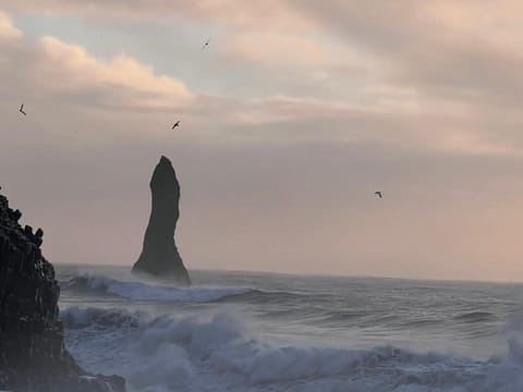South Coast Private Tour from Reykjavik, photo 2